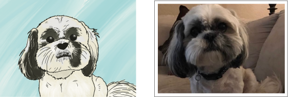 Illustrated portrait of a white and gray Shih Tzu with a blue background
