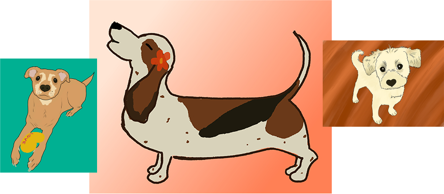 Pet Portrait Examples